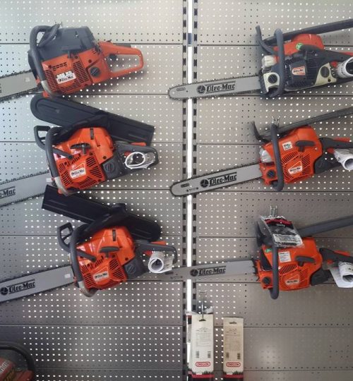 457742170_3310532799253539_5970304153027747676_n