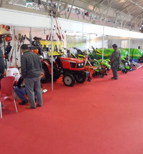 459031204_3316084605365025_5630294578939873927_n