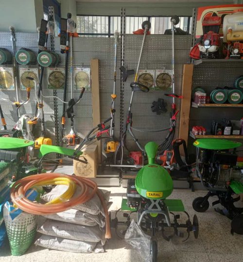 WhatsApp Image 2022-10-19 at 10.26.06